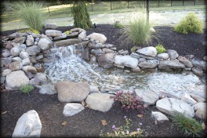 Landscaping | Atlantis Pools